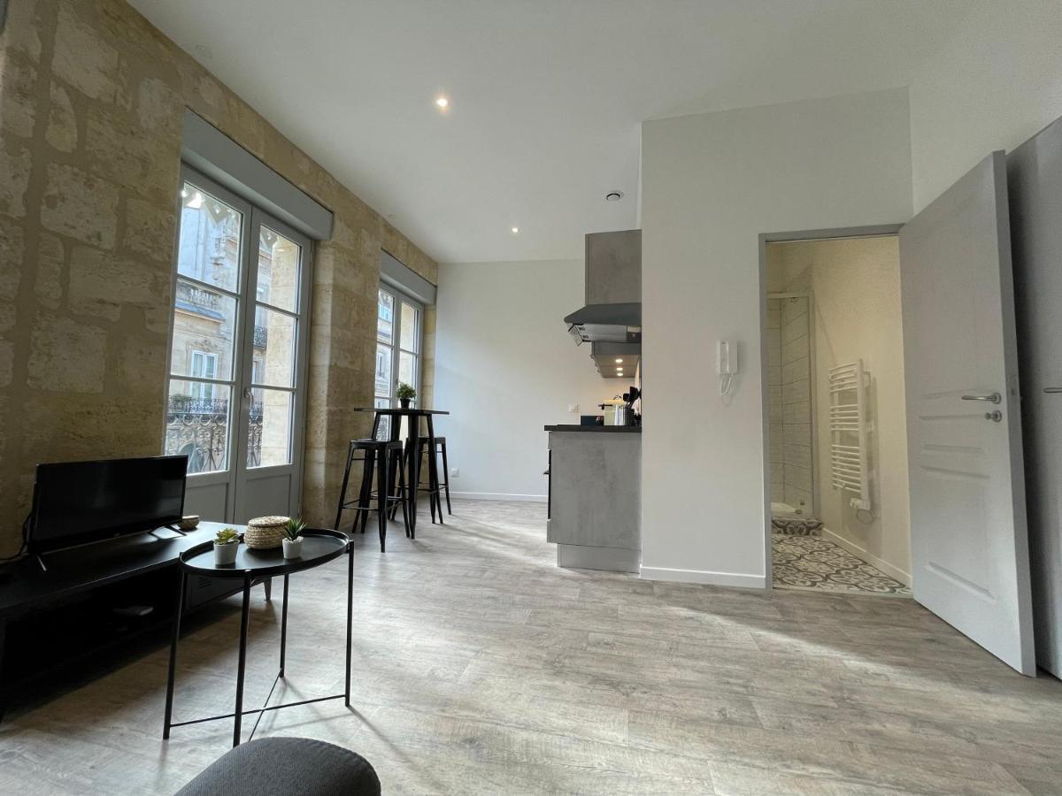 Superbes Studios De Charme, Lumineux Et Climatises En Plein Centre Bordeaux Luaran gambar